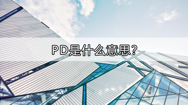 pd是什么意思?