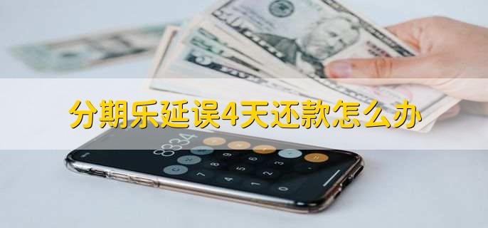 分期樂簡介:1,分期樂是一家專注於大學生分期購物的