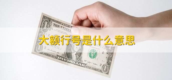 大额行号是什么意思