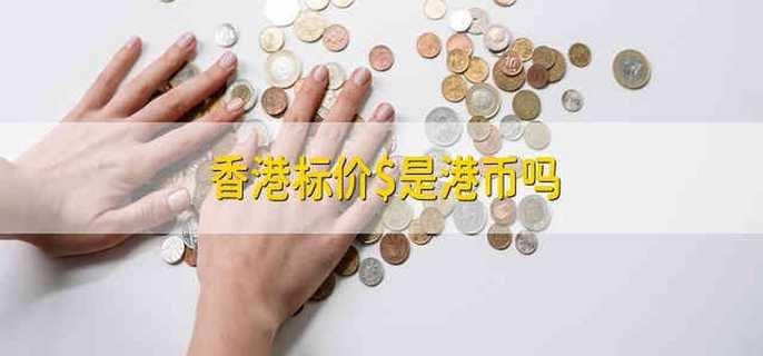 从价格到性能的全面剖析
