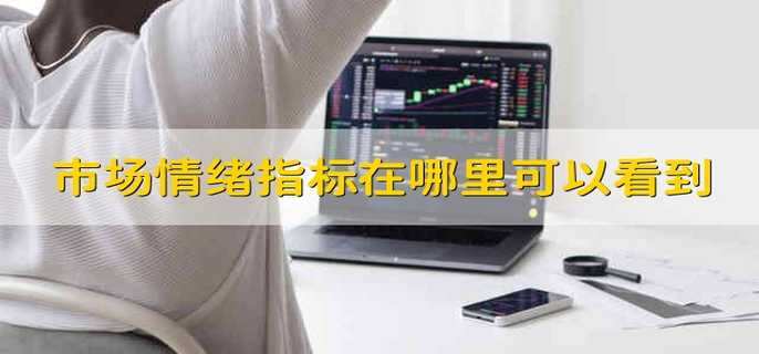 市场情绪指标在哪里可以看到-第1张图片-腾赚网