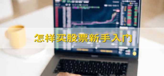 怎样买股票新手入门-第1张图片-腾赚网