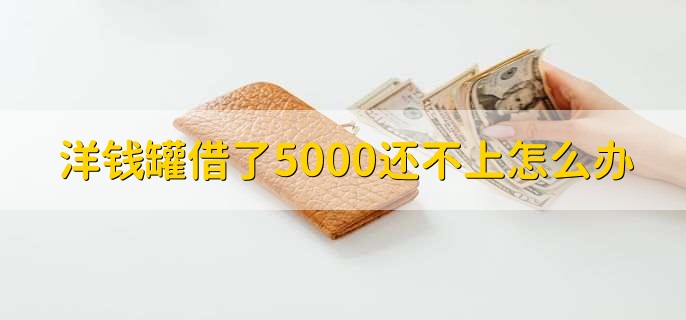 洋钱罐借了5000还不上怎么办，申请推迟还款