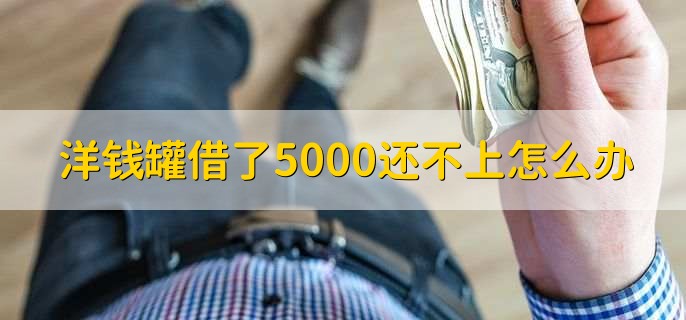 洋钱罐借了5000还不上怎么办，申请推迟还款