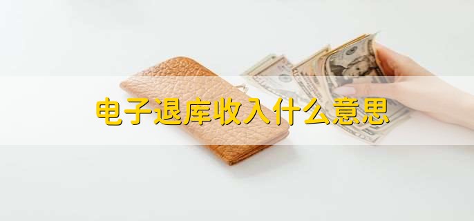 电子退库收入什么意思，缴纳国库退回的资金