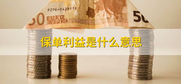 保单利益是什么意思?