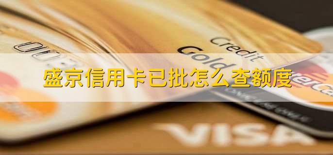 盛京信用卡已批怎么查额度 财梯网